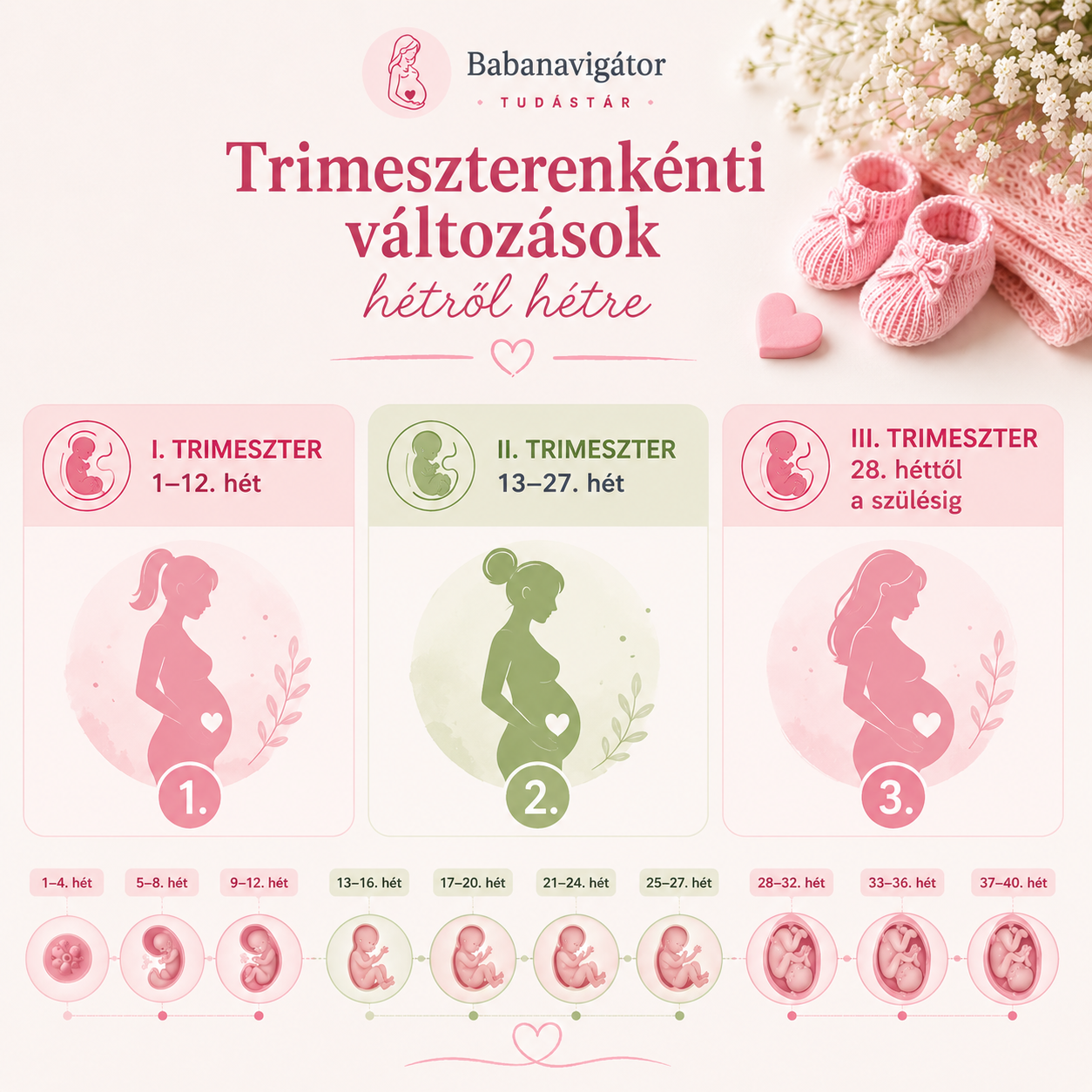 Trimeszterenkénti változások hétről hétre | Babanavigátor Tudástár