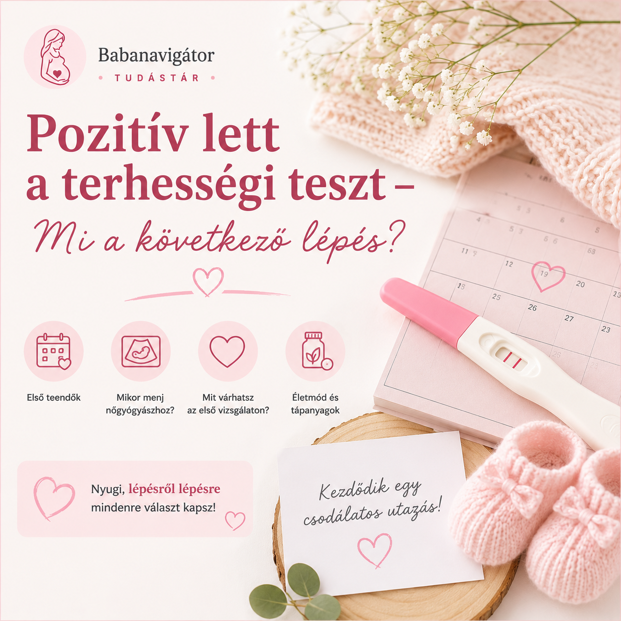Pozitív lett a terhességi teszt – Mi a következő lépés? | Babanavigátor Tudástár